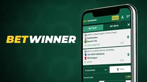 Exploring BetWinner A Premier Betting Platform in Brazil