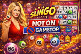 Discovering New Bingo Sites Not on the Radar