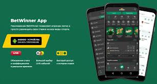 BetWinner CM Sportsbook Your Comprehensive Guide to Online Betting in Cameroon